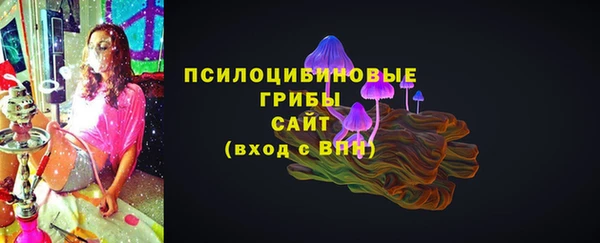 ГАЛЛЮЦИНОГЕННЫЕ ГРИБЫ Ельня