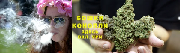 ГАЛЛЮЦИНОГЕННЫЕ ГРИБЫ Ельня