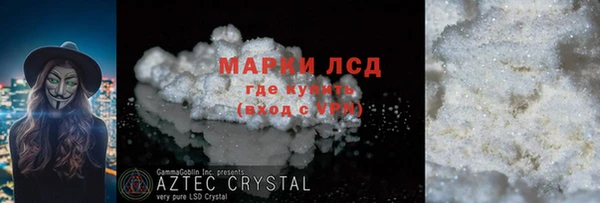 ГАЛЛЮЦИНОГЕННЫЕ ГРИБЫ Ельня