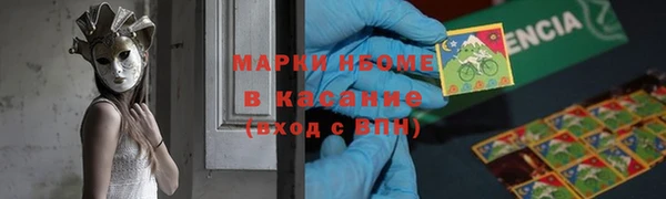 ГАЛЛЮЦИНОГЕННЫЕ ГРИБЫ Ельня