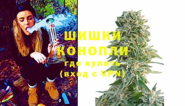 ГАЛЛЮЦИНОГЕННЫЕ ГРИБЫ Ельня